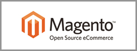 RIGO Webshops mit Magento